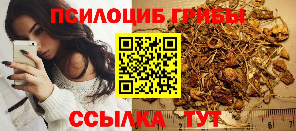 Псилоцибиновые грибы Cubensis Когалым